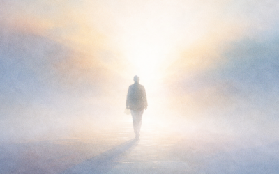 Supervision: Bringing Light without Dazzling